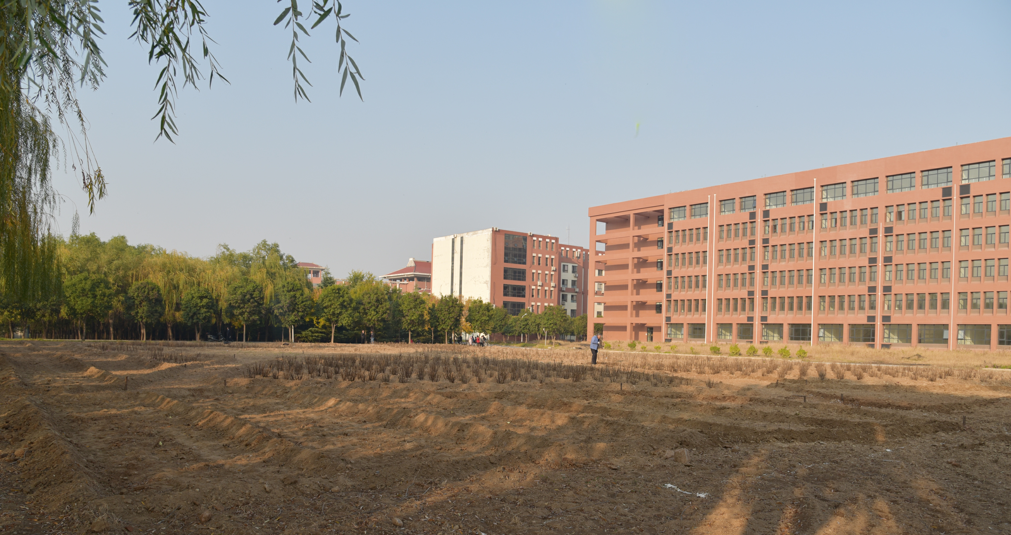 1542072744189038.png 1542072744189038.png