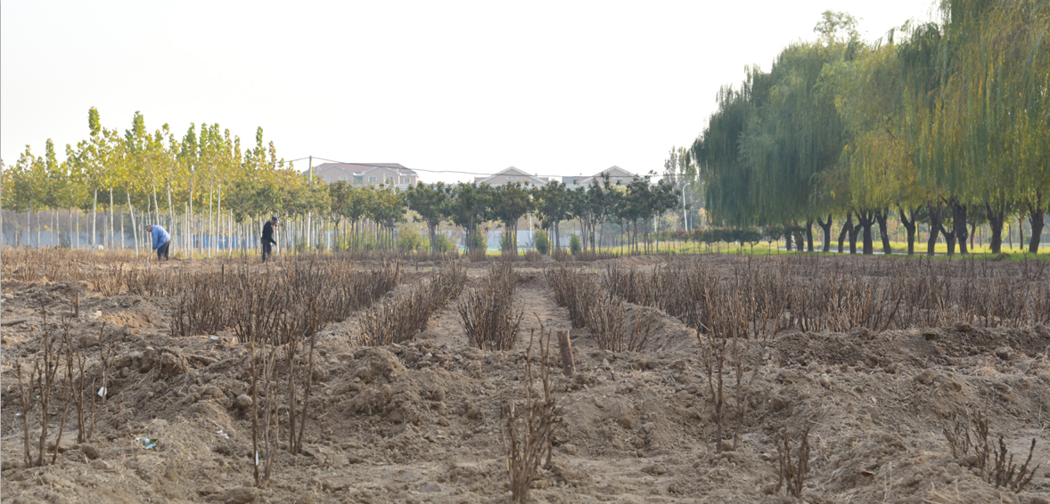 1542072818481353.png 1542072818481353.png